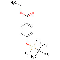 153025-65-1 ethyl 4-[tert-butyl(dimethyl)silyl]oxybenzoate chemical structure