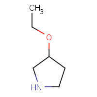 45592-49-2 3-ethoxypyrrolidine chemical structure