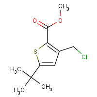 252914-61-7 methyl 5-tert-butyl-3-(chloromethyl)thiophene-2-carboxylate chemical structure