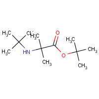 93137-54-3 tert-butyl 2-(tert-butylamino)-2-methylpropanoate chemical structure