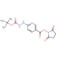 133081-26-2 (2,5-dioxopyrrolidin-1-yl) 6-[2-[(2-methylpropan-2-yl)oxycarbonyl]hydrazinyl]pyridine-3-carboxylate chemical structure