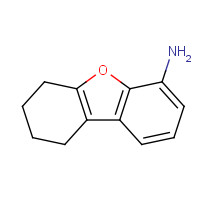 174187-07-6 6,7,8,9-tetrahydrodibenzofuran-4-amine chemical structure