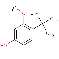 19545-76-7 4-tert-butyl-3-methoxyphenol chemical structure