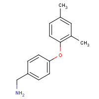 937598-91-9 [4-(2,4-dimethylphenoxy)phenyl]methanamine chemical structure