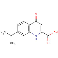 123158-21-4 4-oxo-7-propan-2-yl-1H-quinoline-2-carboxylic acid chemical structure