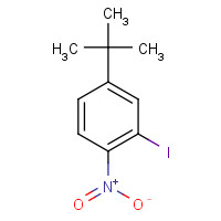 942204-75-3 4-tert-butyl-2-iodo-1-nitrobenzene chemical structure