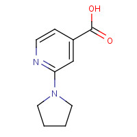 98088-04-1 2-pyrrolidin-1-ylpyridine-4-carboxylic acid chemical structure