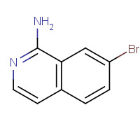 215453-53-5 7-bromoisoquinolin-1-amine chemical structure