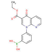 694489-60-6 [3-(3-ethoxycarbonyl-4-oxo-1,8-naphthyridin-1-yl)phenyl]boronic acid chemical structure