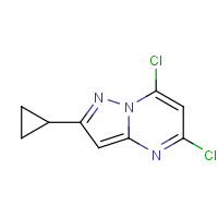 893447-41-1 5,7-dichloro-2-cyclopropylpyrazolo[1,5-a]pyrimidine chemical structure
