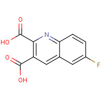 892874-70-3 6-fluoroquinoline-2,3-dicarboxylic acid chemical structure