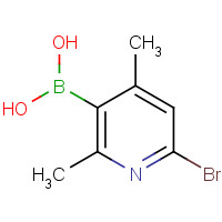 1072944-23-0 (6-bromo-2,4-dimethylpyridin-3-yl)boronic acid chemical structure
