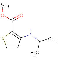 153071-59-1 methyl 3-(propan-2-ylamino)thiophene-2-carboxylate chemical structure