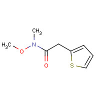 125067-45-0 N-methoxy-N-methyl-2-thiophen-2-ylacetamide chemical structure