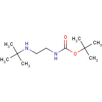 879484-84-1 tert-butyl N-[2-(tert-butylamino)ethyl]carbamate chemical structure