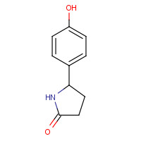 207989-87-5 5-(4-hydroxyphenyl)pyrrolidin-2-one chemical structure