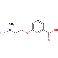 210304-58-8 3-[2-(dimethylamino)ethoxy]benzoic acid chemical structure
