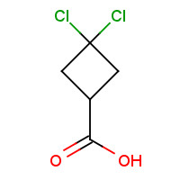 915185-89-6 3,3-dichlorocyclobutane-1-carboxylic acid chemical structure