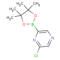 1009378-52-2 2-chloro-6-(4,4,5,5-tetramethyl-1,3,2-dioxaborolan-2-yl)pyrazine chemical structure
