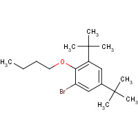 245435-11-4 1-bromo-2-butoxy-3,5-ditert-butylbenzene chemical structure