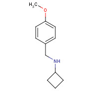 1181382-84-2 N-[(4-methoxyphenyl)methyl]cyclobutanamine chemical structure
