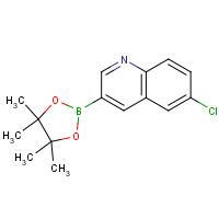 1355582-91-0 6-chloro-3-(4,4,5,5-tetramethyl-1,3,2-dioxaborolan-2-yl)quinoline chemical structure