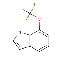 396075-91-5 7-(trifluoromethoxy)-1H-indole chemical structure