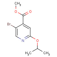 1616290-00-6 methyl 5-bromo-2-propan-2-yloxypyridine-4-carboxylate chemical structure