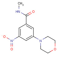 641570-96-9 N-methyl-3-morpholin-4-yl-5-nitrobenzamide chemical structure