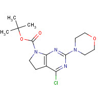 1439823-58-1 tert-butyl 4-chloro-2-morpholin-4-yl-5,6-dihydropyrrolo[2,3-d]pyrimidine-7-carboxylate chemical structure