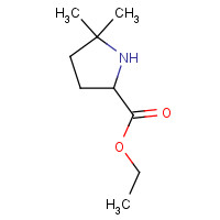 1333222-32-4 ethyl 5,5-dimethylpyrrolidine-2-carboxylate chemical structure