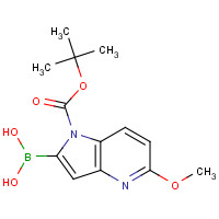 848357-95-9 [5-methoxy-1-[(2-methylpropan-2-yl)oxycarbonyl]pyrrolo[3,2-b]pyridin-2-yl]boronic acid chemical structure