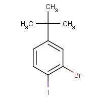 860435-39-8 2-bromo-4-tert-butyl-1-iodobenzene chemical structure