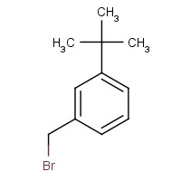 102405-32-3 1-(bromomethyl)-3-tert-butylbenzene chemical structure
