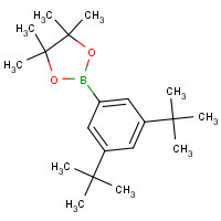 1071924-13-4 2-(3,5-ditert-butylphenyl)-4,4,5,5-tetramethyl-1,3,2-dioxaborolane chemical structure