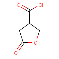 498-89-5 5-oxooxolane-3-carboxylic acid chemical structure