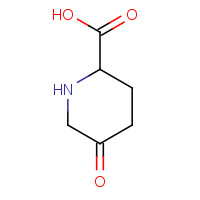 789448-80-2 5-oxopiperidine-2-carboxylic acid chemical structure