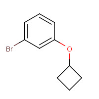 1268713-64-9 1-bromo-3-cyclobutyloxybenzene chemical structure