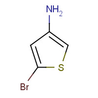 81974-99-4 5-bromothiophen-3-amine chemical structure