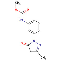 184707-81-1 methyl N-[3-(3-methyl-5-oxo-4H-pyrazol-1-yl)phenyl]carbamate chemical structure
