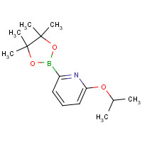 1401350-37-5 2-propan-2-yloxy-6-(4,4,5,5-tetramethyl-1,3,2-dioxaborolan-2-yl)pyridine chemical structure