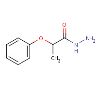 52094-92-5 2-phenoxypropanehydrazide chemical structure