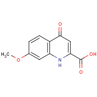 136037-03-1 7-methoxy-4-oxo-1H-quinoline-2-carboxylic acid chemical structure