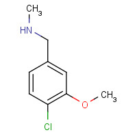 1224684-84-7 1-(4-chloro-3-methoxyphenyl)-N-methylmethanamine chemical structure