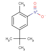 62559-08-4 4-tert-butyl-1-methyl-2-nitrobenzene chemical structure