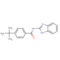 25737-69-3 N-(1H-benzimidazol-2-yl)-4-tert-butylbenzamide chemical structure