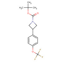 1629889-08-2 tert-butyl 3-[4-(trifluoromethoxy)phenyl]azetidine-1-carboxylate chemical structure