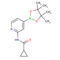 1286230-87-2 N-[4-(4,4,5,5-tetramethyl-1,3,2-dioxaborolan-2-yl)pyridin-2-yl]cyclopropanecarboxamide chemical structure