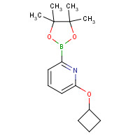 1310404-15-9 2-cyclobutyloxy-6-(4,4,5,5-tetramethyl-1,3,2-dioxaborolan-2-yl)pyridine chemical structure