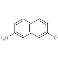 590417-30-4 7-bromonaphthalen-2-amine chemical structure